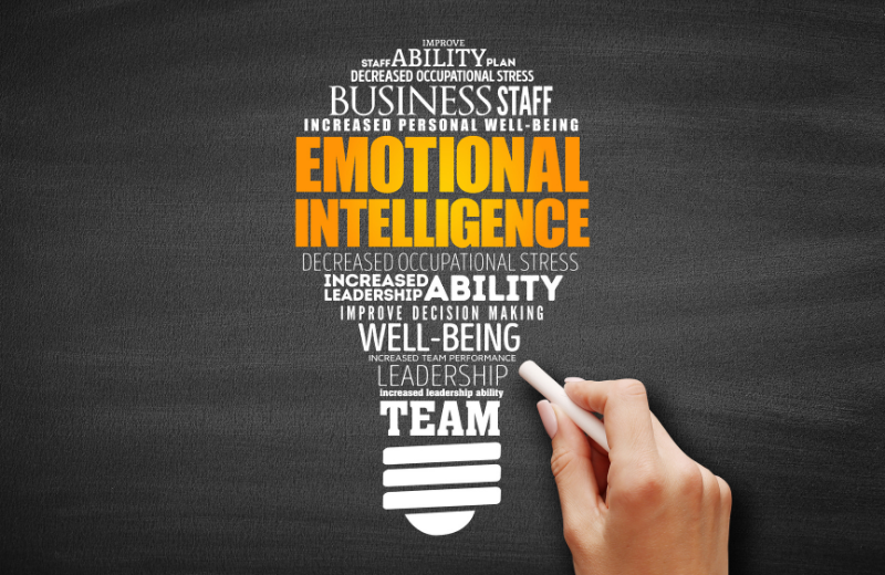 هوش هیجانی در پروژه